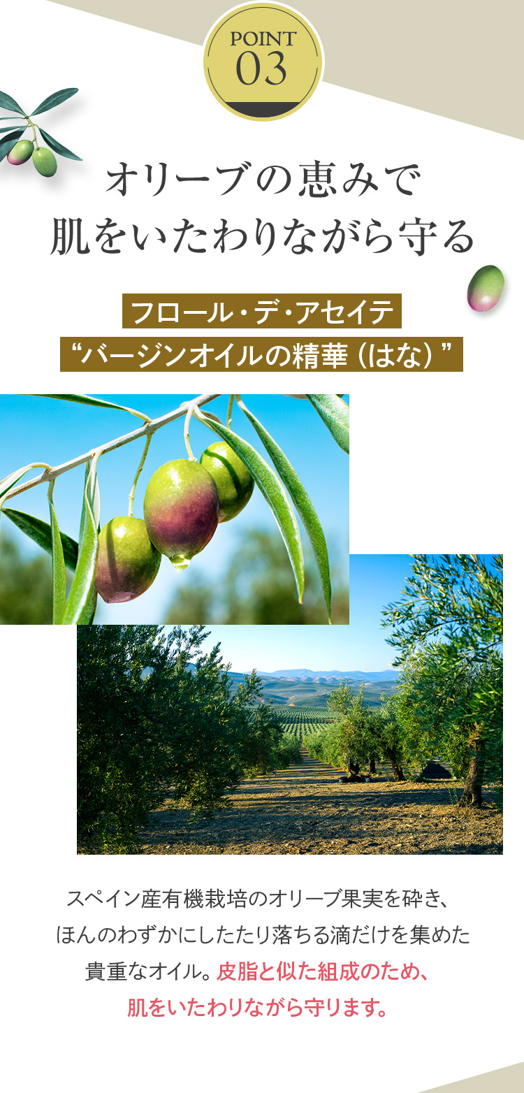 POINT 03
オリーブの恵みで肌をいたわりながら守る