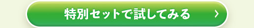特別セットで試してみる