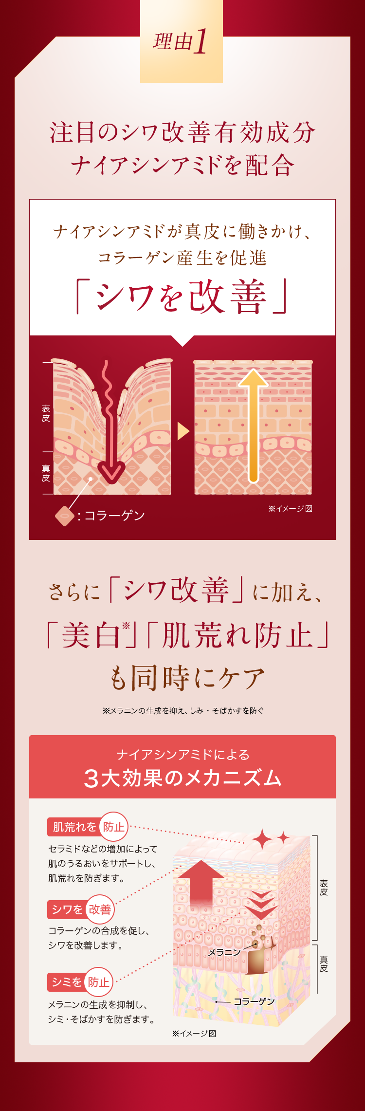 理由1