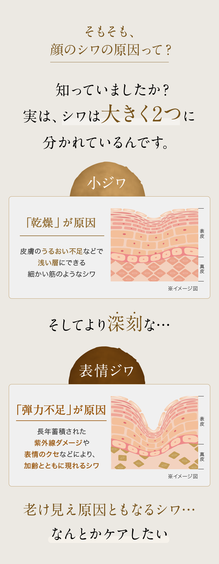 顔のシワの原因って？